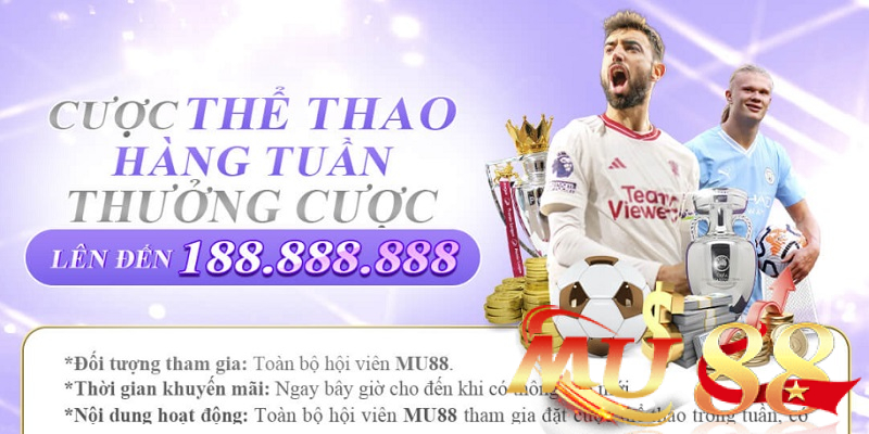 Khuyến mãi thể thao - Bùng nổ ưu đãi khủng cho dân mê tốc độ 2 Hoàn trả thể thao theo ngày hoặc theo tuần