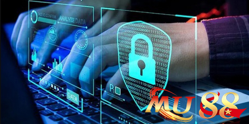 Lưu ý về quyền riêng tư và sử dụng dữ liệu