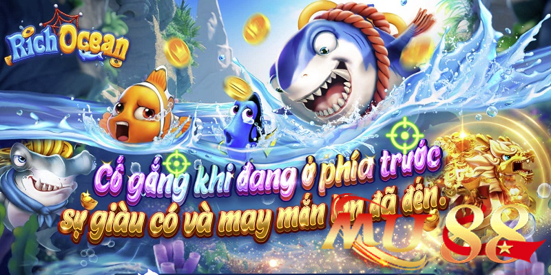 Rich Ocean